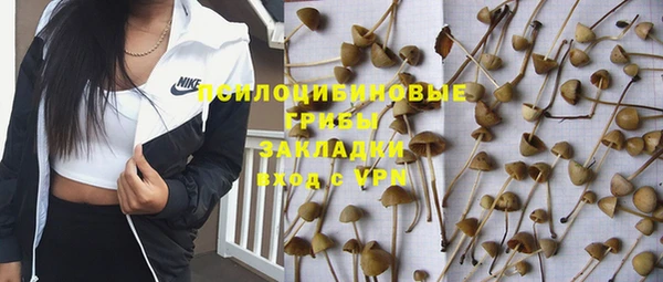 ПСИЛОЦИБИНОВЫЕ ГРИБЫ Алексеевка