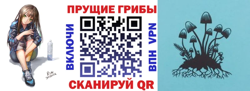 Псилоцибиновые грибы мицелий  Красноуфимск 