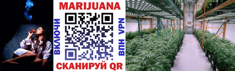 магазин    Красноуфимск  Канабис OG Kush 
